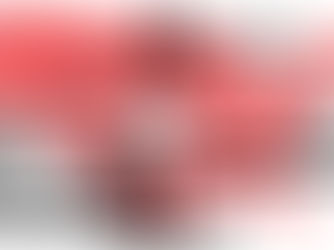 REPAIR OUR NATION aka REPARATIONS