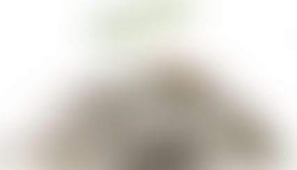 Ways to Save the Most in 2023