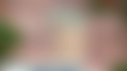 Smart Budgeting Tips for the Holidays Contributed by TRUE Community Credit Union