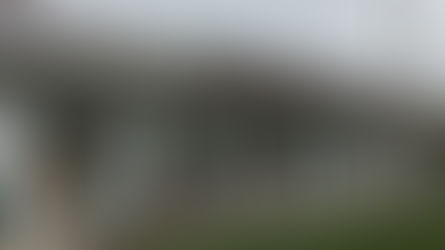 Quality Dairy Company’s 90th Anniversary: A Deep Dive Into Lansing’s Homegrown Convenience & Comfort Food Icon | A Chronicle News Spotlight