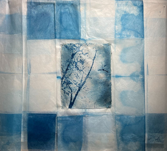 AIR - Where Windows Wander_edited.jpg