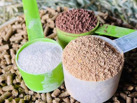 How to Trial a New Supplement