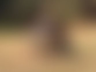 Part I: Performance Boosting Supplements- What are they and do they work?