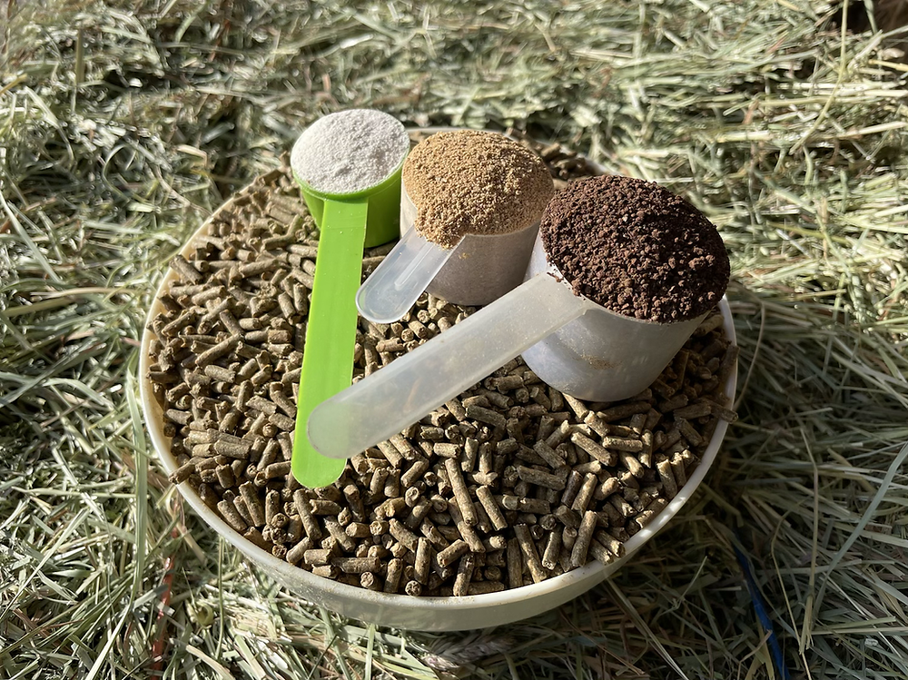 Defining the Trace Mineral Supplement Category?