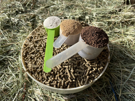 Defining the Trace Mineral Supplement Category?