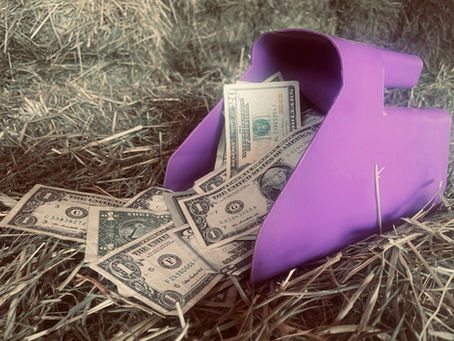 What is a Normal Daily Horse Feed Expense in 2023?