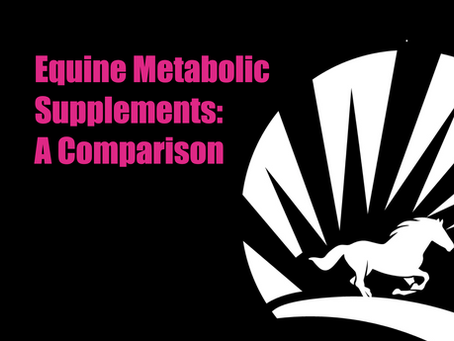 Equine "Metabolic Support" Supplements: A Comparison