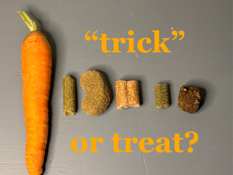 Trick or Treat: A Comparison of Horse Treat Ingredients, Cost, & Marketing Claims
