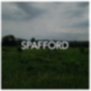 Spafford NY