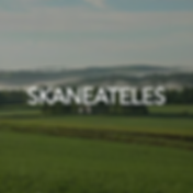 Skaneateles NY