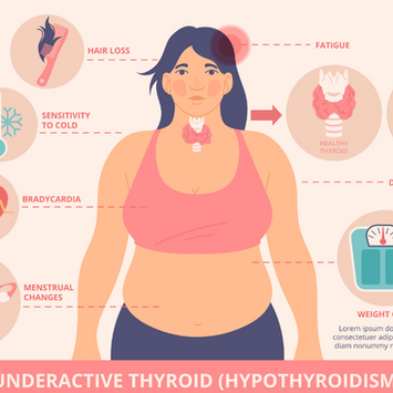 From a Sluggish to a Sensational Journey of Hypothyroidism Reversal