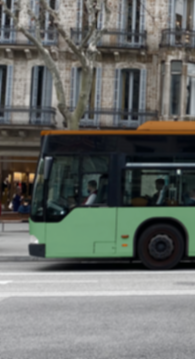 Georgina Bus