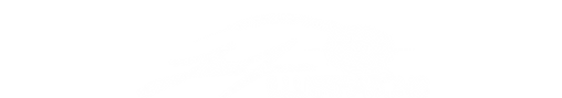 LT Illustration Official Logo