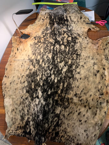 Dark and Golden Speckled Seal Hide