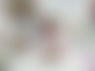 Miau Prev aposta em medicina preventiva para melhorar qualidade de vida dos gatos