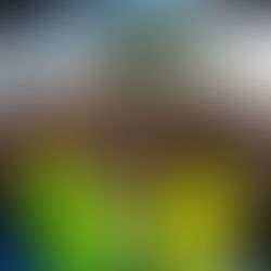 Filhos de Jorge e Nona no segundo dia do Ensaio do Pré-Caju