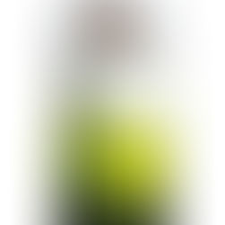 O Boticário se inspira na liberdade da natureza para lançar Arbo Reserva