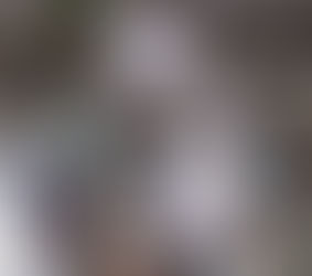 Michelle Bolsonaro usa camisa com frase de juíza para Lula