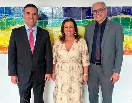 IX Seminário Ibero-Americano de Direito e Controle