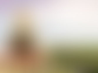 Crédito do Plano Safra 2023/2024 impactou em 41,9 mil empregos em Sergipe