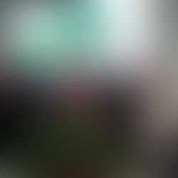 Delegada Katarina participa de posse da nova Diretoria da Fames