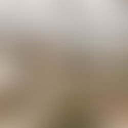 Natura &Co América Latina alcança metas de salário digno para colaboradores na região