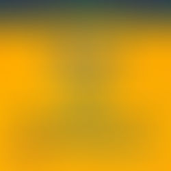 ‘Forró da Advocacia’ traz Emerson do Acordeon, Igor Ativado e Jeanny Lins