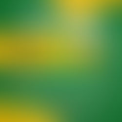 OAB/SE realizará audiência pública sobre dano moral decorrente de fraudes bancárias