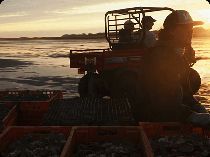 Sequence 01.gif