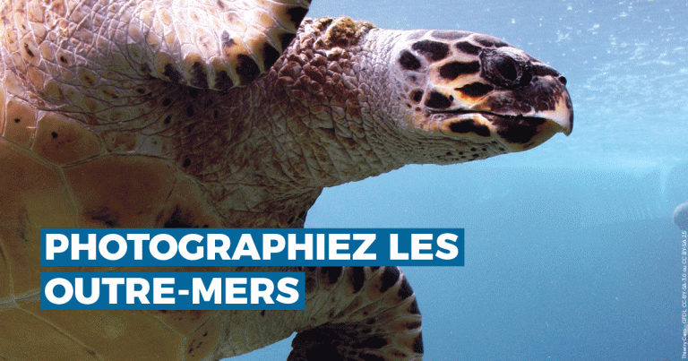 Photographiez les Outre-mer