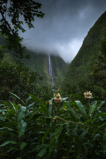 Cascade Blanche (2023)