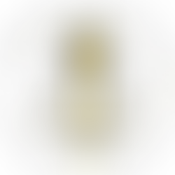 Canadian Human Rights Commission Found Guilty of Discrimination Against Black and Racialized Workers