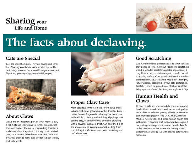 PawsRackBrochure8.5x11-210316-A (dragged
