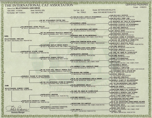 Sandi TICA Pedigree.jpeg