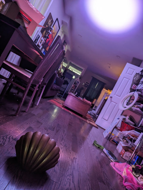 PXL_20230413_233711286