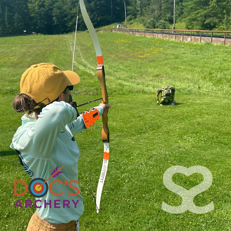 KB AIM 3D targets