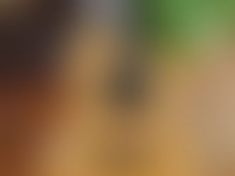 BLOG開設しました。
