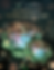 boooklet-03.png