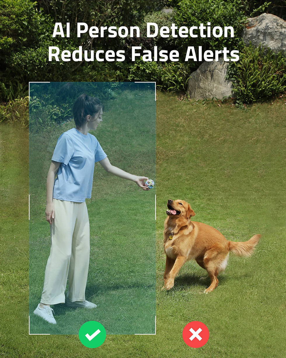 Miniatura: Girl playing with golden retriever in the grass; Reduces False Alerts.