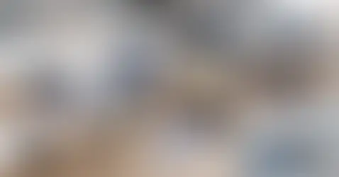 DEEBOT Deep Dive - Everything You Need to Know About Robot Vacuums According to the Experts