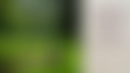 Earth Day Celebration