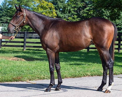 2023AmericasFriend-KEESept_edited.jpg