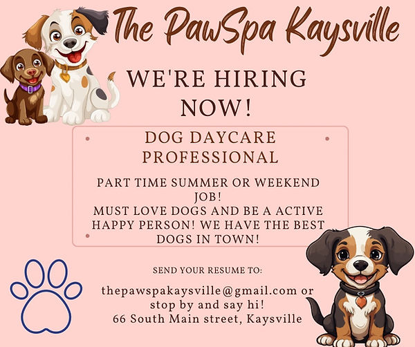 Now hiring