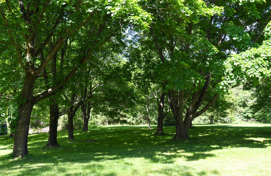 Gallery Vasa Park NJ