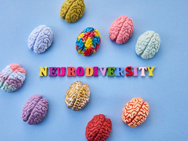 A Guide to Understanding Neurodiversity