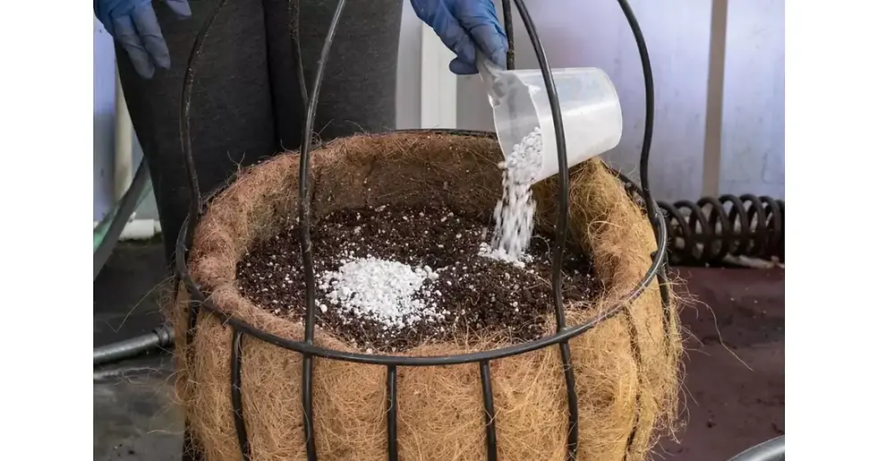 Substrato sendo preparado com terra vegetal e 20% de perlita — combinação perfeita para dSubstrato sendo preparado com terra vegetal e 20% de perlita — combinação perfeita para drenagem e aeração equilibrada.renagem e aeração equilibrada.