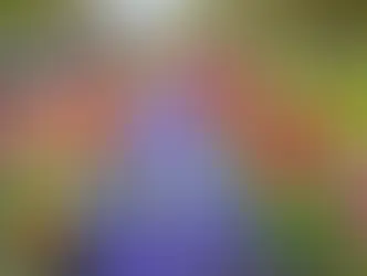 Campo de tulipas multicoloridas em plena floração no parque Keukenhof, Holanda.