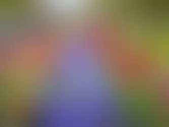 Campo de tulipas multicoloridas em plena floração no parque Keukenhof, Holanda.