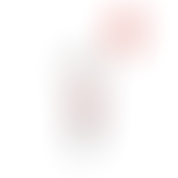 Vendredi 4 octobre 2024