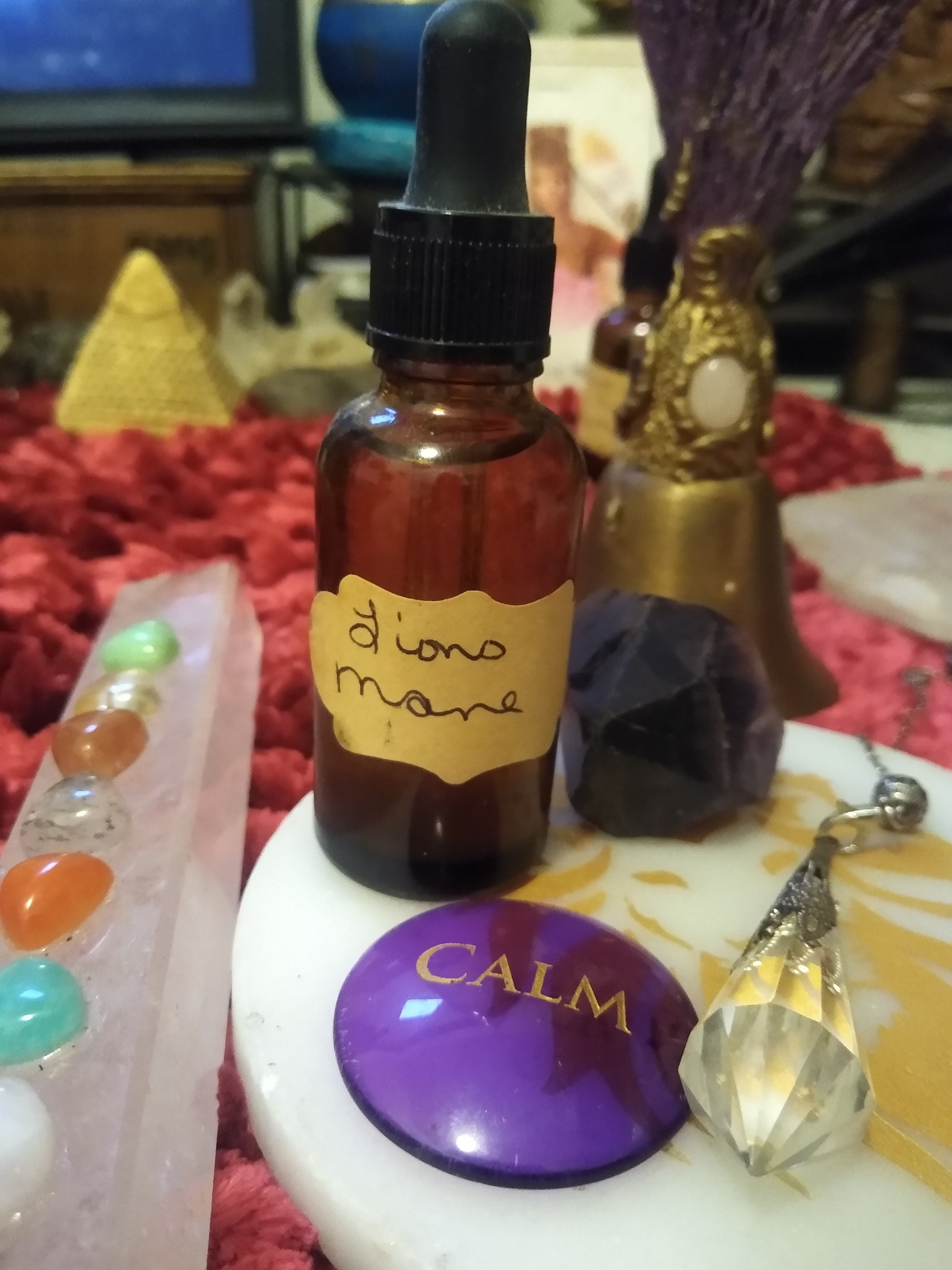 Lions Mane Tincture